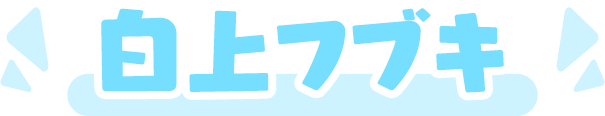 白上フブキ