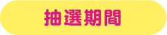 抽選期間